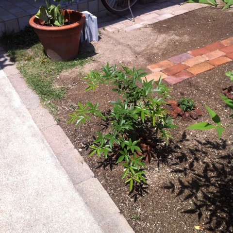 photo:04