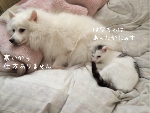 {B2314FA9-E8FD-4231-B510-F61F530778DE:01}