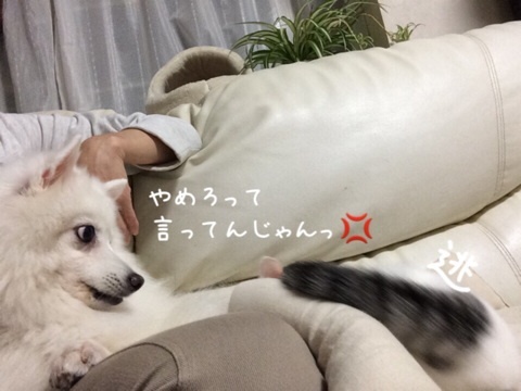 {9BBD5432-A4A9-4B56-AF3B-7B42F41039A5:01}