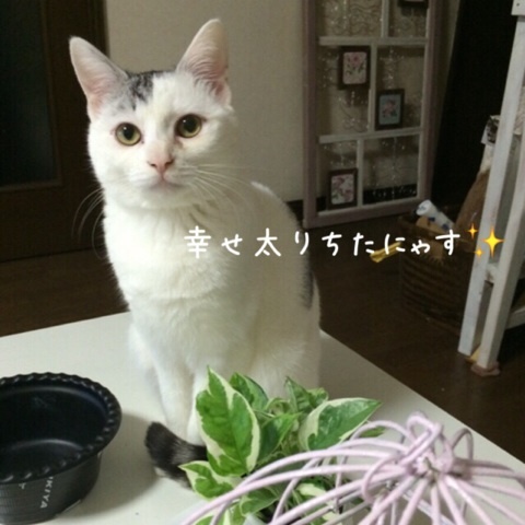 {40C4C560-8CB1-4436-AB01-E44D5D1D8066:01}