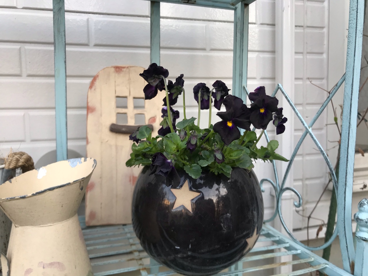 春の青い花 フェリオフィラ 黒いビオラ のばらのガーデニングブログ Hana And Rose Garden Powered By ライブドアブログ