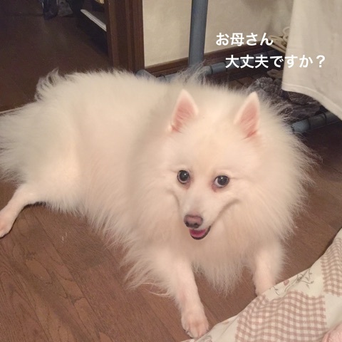 {A91FD71C-B27D-40C0-ACBF-D355A93D381C}