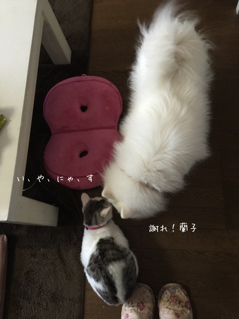 {F17D734D-752A-4591-9C88-3C6F72173E82:01}
