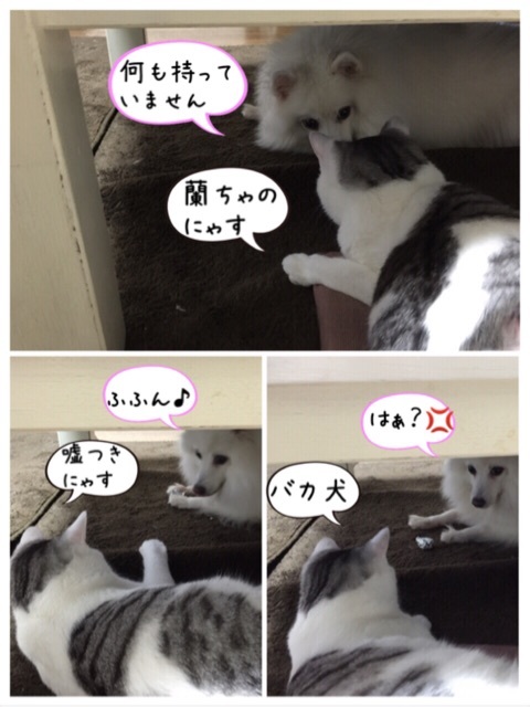 {0DD671EA-1D71-43B7-B4BB-AA2EE8687B45:01}