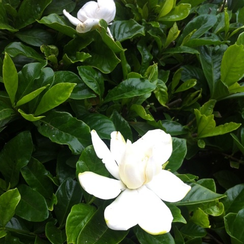 photo:01