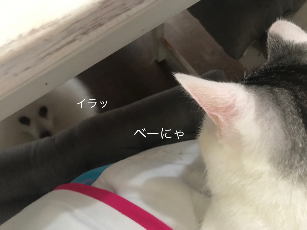 月一のオルトラン カナブンが飛び回る季節 のばらのガーデニングブログ Hana And Rose Garden Powered By ライブドアブログ