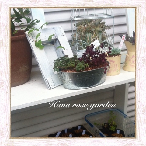photo:01