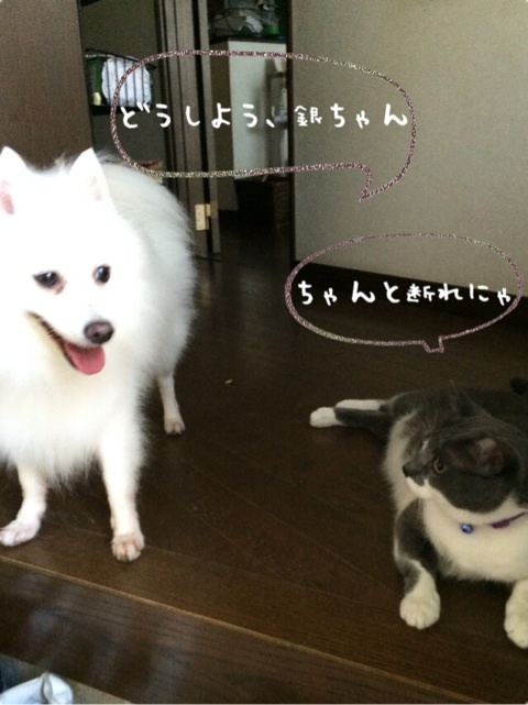 {6C934F10-F9D7-4B24-B1D3-0ADC7DBD442B:01}