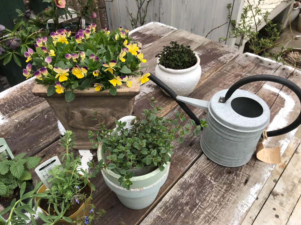 ジャンクな作業台をdiy 廃品利用で材料代50円 のばらのガーデニングブログ Hana And Rose Garden Powered By ライブドアブログ ジャンクな作業台をdiy 廃品利用で材料代50円 のばらのガーデニングブログ Hana And Rose Garden Powered By ライブドアブログ