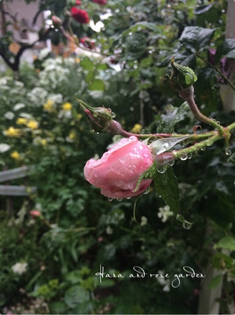 {B0E01B91-610A-4625-BEE4-9901817BC2A1:01}