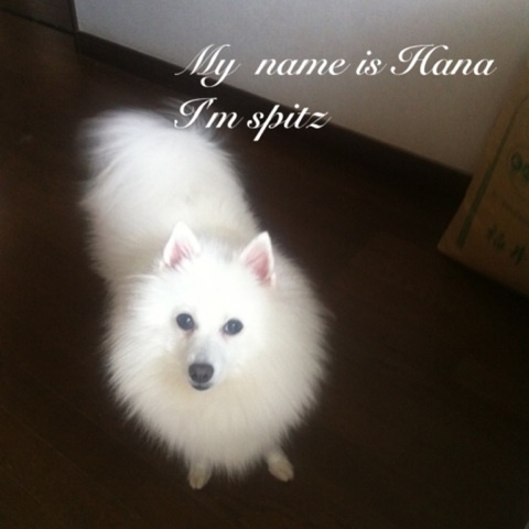 photo:02