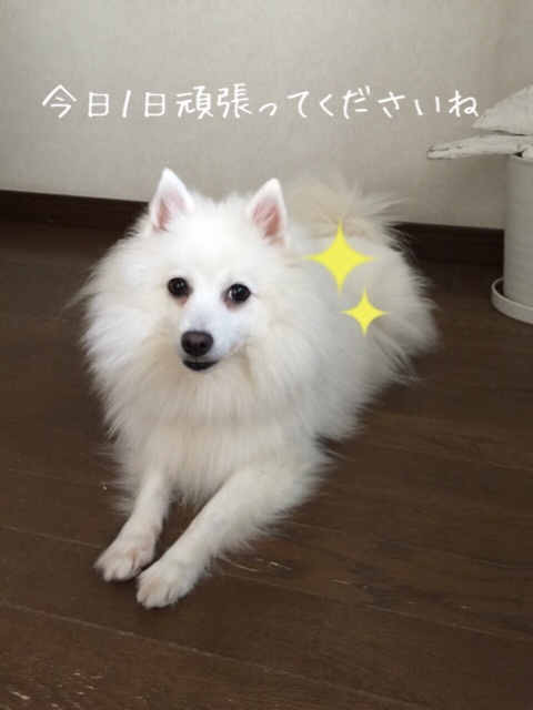 {6F03C956-2B7B-473D-83DA-339368BBABA9:01}