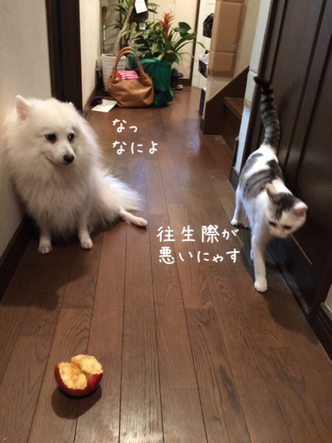 {6A4F1C1B-DDE5-4477-BF73-88F26174DDC8:01}