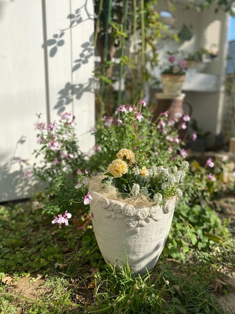 花台付きパーゴラの作り方① : のばらのガーデニングブログ Hana and