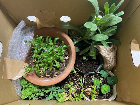 FullSizeRender