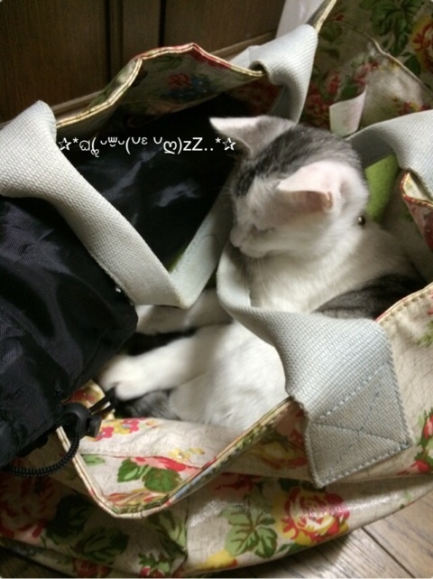 {8B1830B0-48EC-4936-89D6-B247CBF27AEC:01}