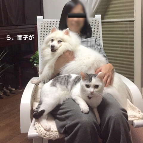 {F44DC4BA-BDDB-4F9F-AEB7-96E8D57660F4}