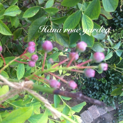 photo:01