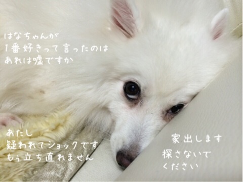 {0E66D0C5-9CA3-4AF0-B0F5-AE4C06E1A6C5:01}