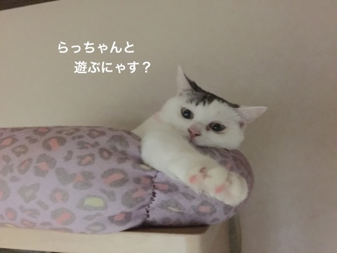 {40B9994D-627C-437C-9630-1DFAE9F9F512}