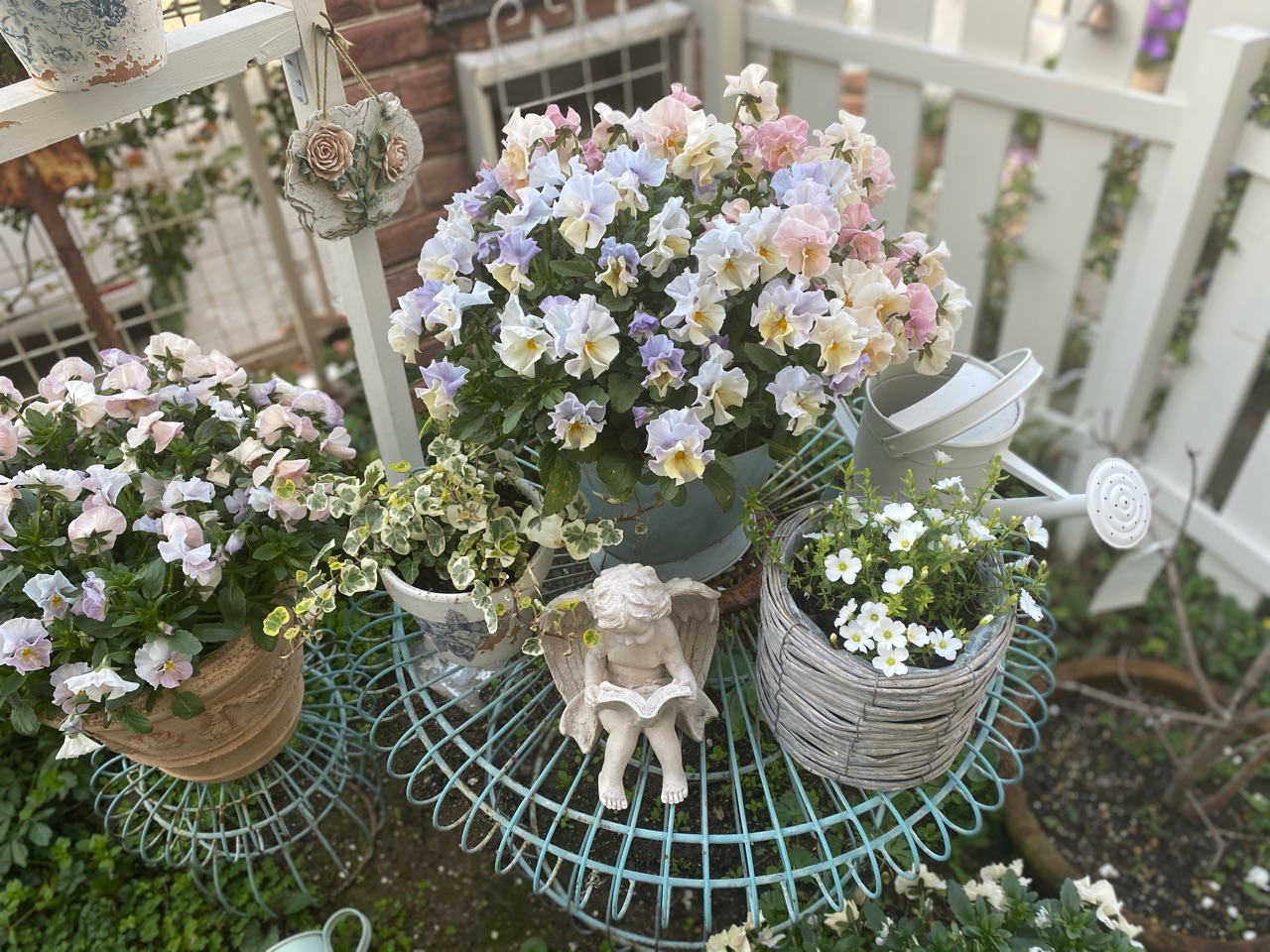 朝靄の小庭〜名残惜しいシエルブリエ〜 : のばらのガーデニングブログ