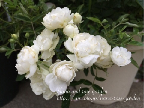 {10725D11-7F96-4200-9EB2-9F35AF27B90E:01}
