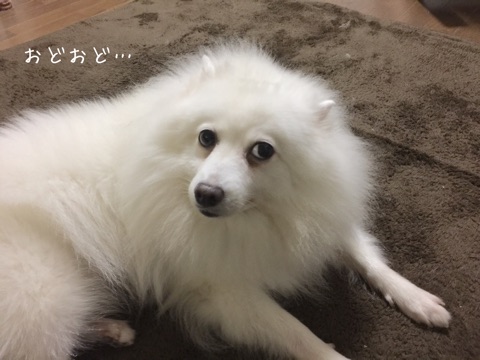 {1251162F-5B67-4CB3-8C9D-9BA3034D6609}