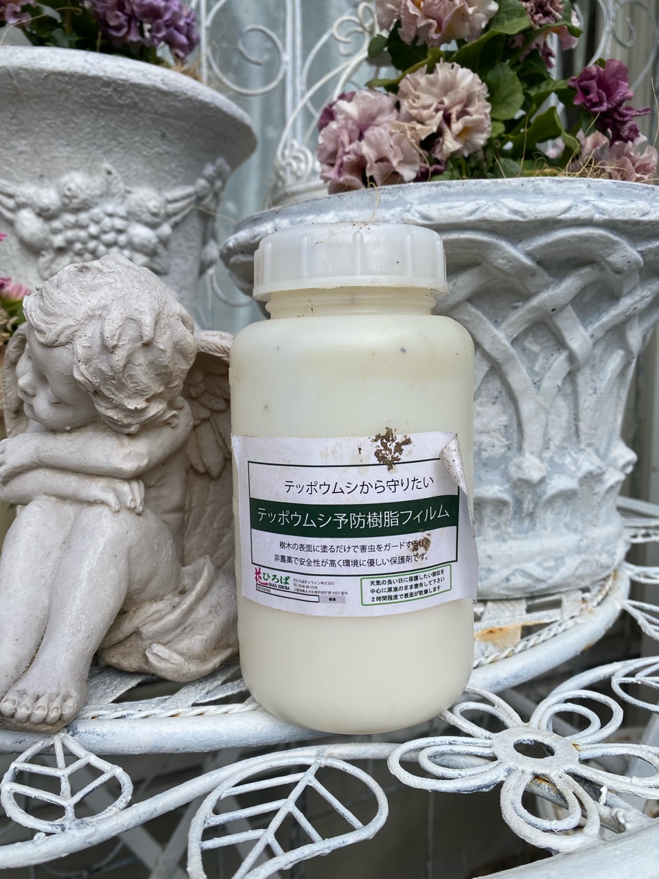 バラ2月の作業 テッポウムシからバラを守る対策その1 のばらのガーデニングブログ Hana And Rose Garden Powered By ライブドアブログ