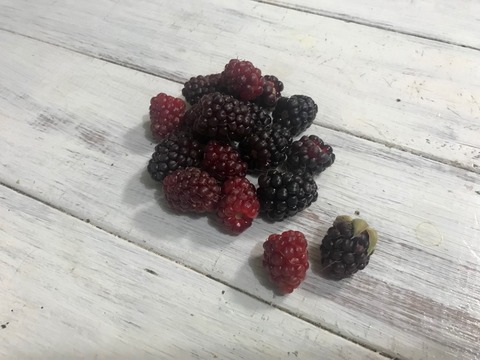 FullSizeRender