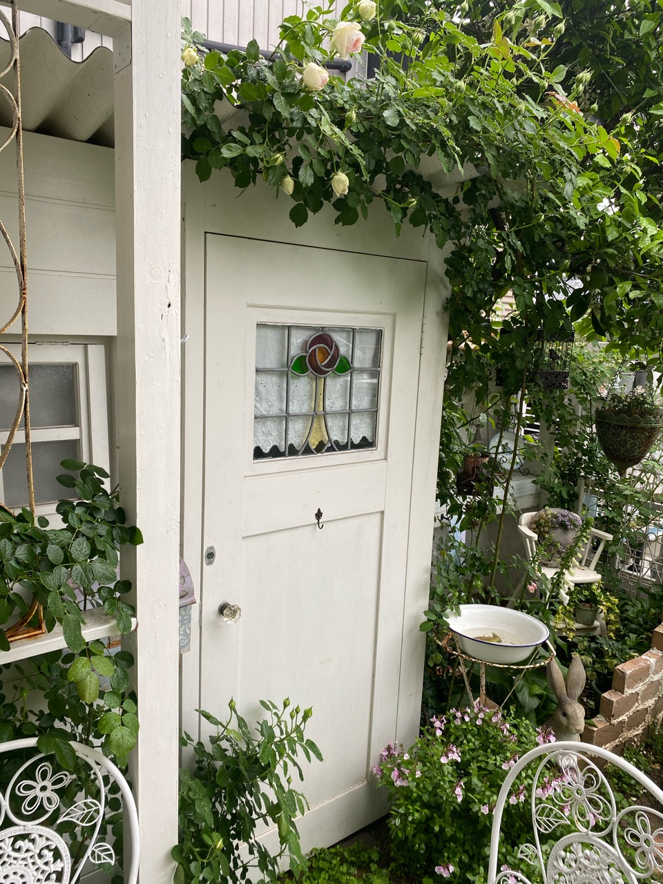 待ちに待った小屋のつるバラ ブランピエールドゥロンサール 日陰で植物を咲かせる作戦 のばらのガーデニングブログ Hana And Rose Garden Powered By ライブドアブログ