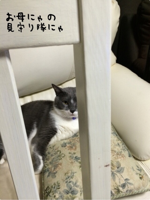 {9554DD22-FD1D-4AF3-B2B2-54A16E5892E9:01}