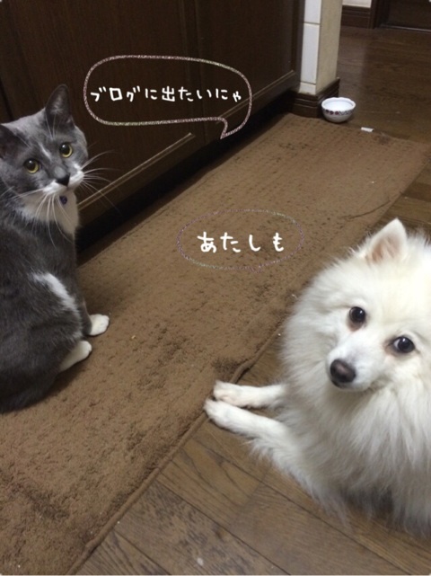 {C7E48F42-869F-424A-B71C-EFCEC544004F:01}