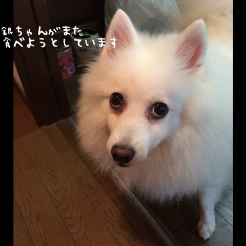 {10F9185C-5AE5-48C9-A42E-7AC179023551:01}