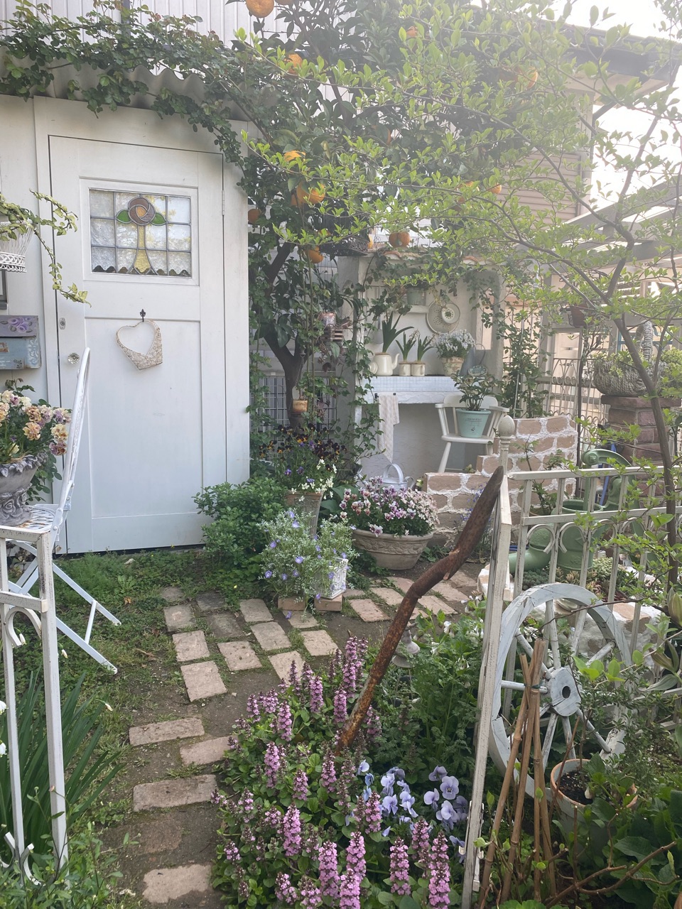 シンボルツリーにオススメ 春に咲くエゴノキの花が再び咲き始めました のばらのガーデニングブログ Hana And Rose Garden Powered By ライブドアブログ