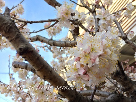 {A4F70329-F904-4D5D-9ED2-1AFDE96E3600:01}