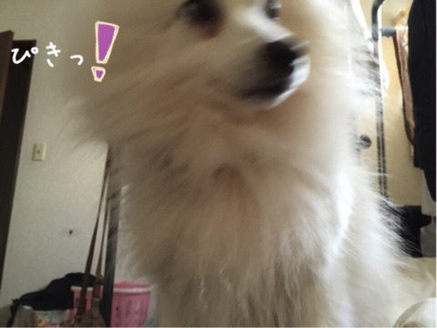 {E1E2BD57-CB7F-4289-9D7F-2F4A66B7C490:01}