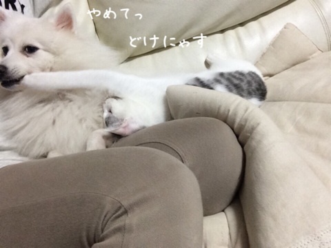 {225C740D-C252-4F06-9081-0DD180CB9F7B:01}