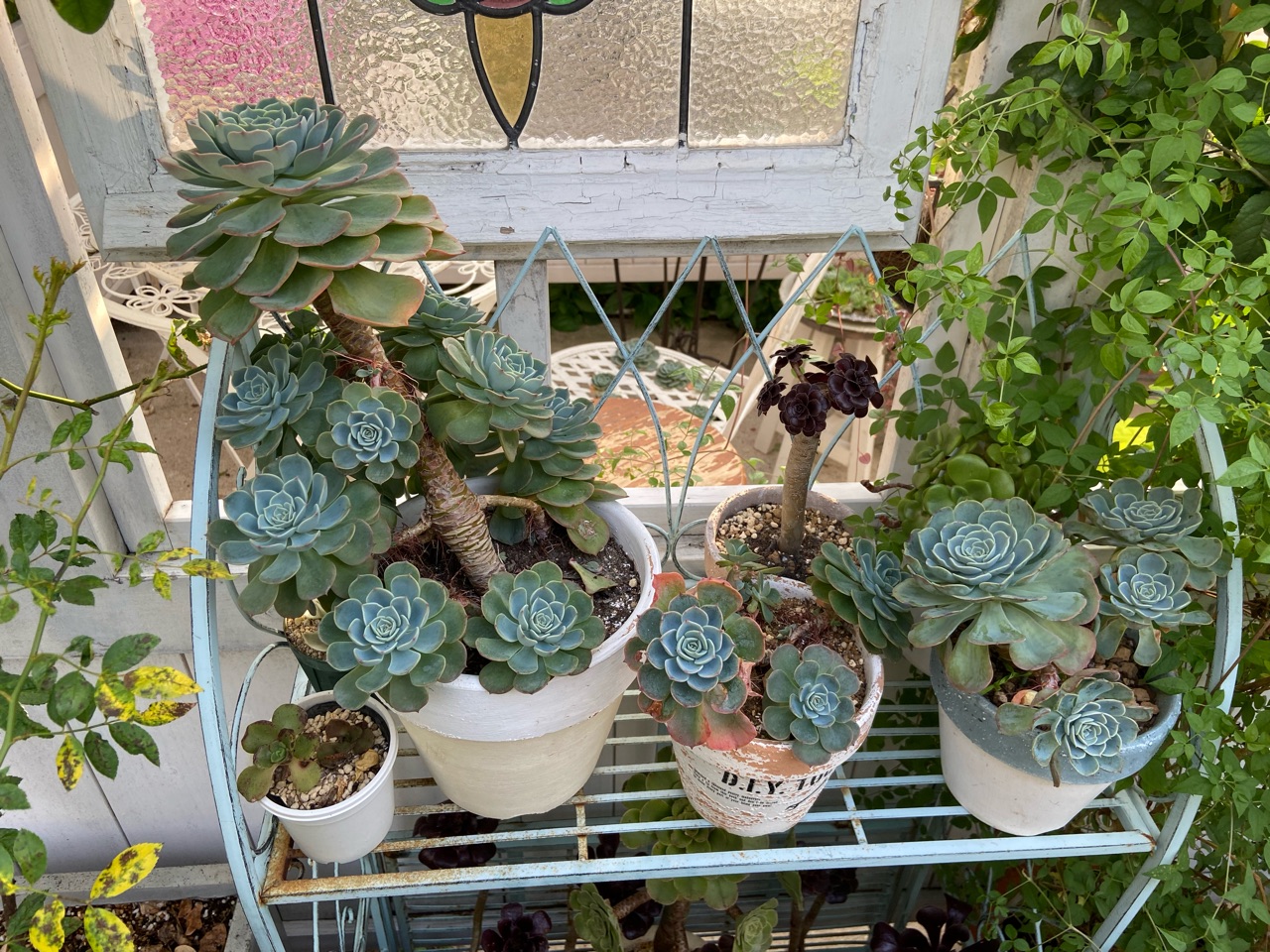 バック型ウッドプランター♪ウッド雑貨リメイク鉢プランター多肉