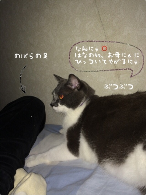 {448DD3C8-E608-456A-9826-DF18C46686B4:01}