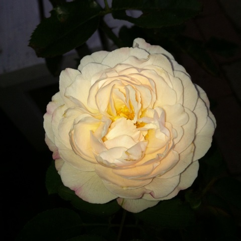photo:01