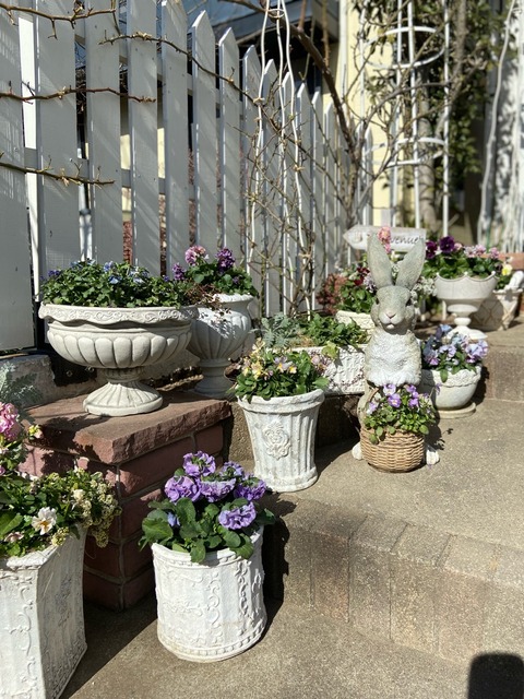 フルサイズレンダリング