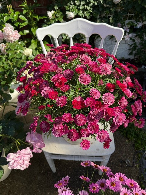 IMG_2414