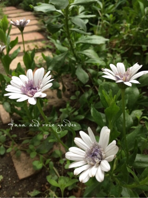 {BB1B507E-0044-4A5D-92BC-881A4039DE49:01}