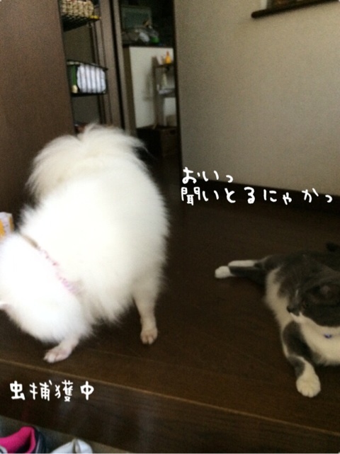 {F595A3AE-BE6F-4F81-955F-6886CD039860:01}