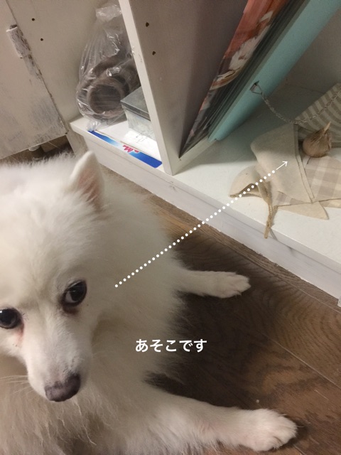 {D4C82B2B-4F2C-4978-A33A-A7616A23FD32}