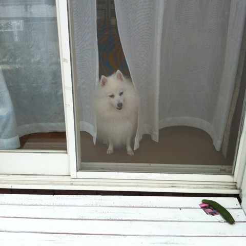 photo:04