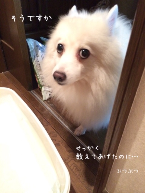 {1EC80129-9511-46AE-8C13-E7B20CB90BCB:01}