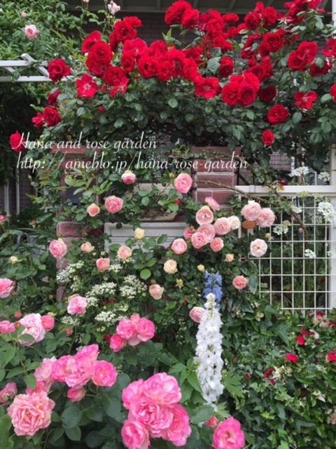 {E3D8CF89-7BCC-421F-A643-B1E944E8F41C:01}