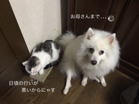 {13305516-313D-47DA-8471-20FC2B8ED371}