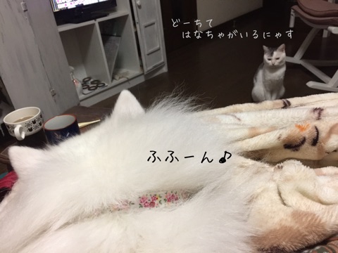 {F9B6CB06-2C44-4341-A412-23C9481218EE}
